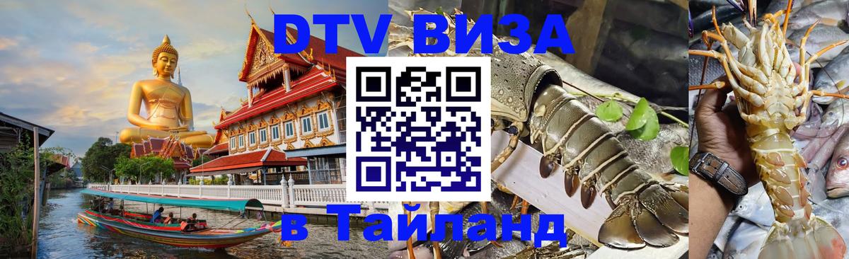Сколько стоит DTV виза — актуальные цены, оформление даже без документов - 19.11.2025 